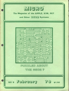 Rivista Micro