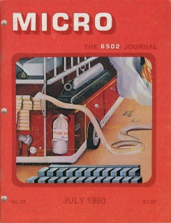 Rivista Micro