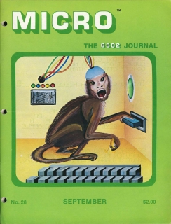 Rivista Micro