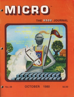 Rivista Micro