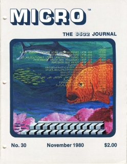 Rivista Micro