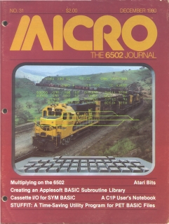 Rivista Micro