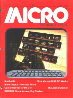 Rivista Micro