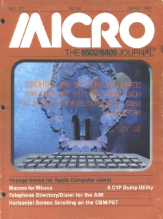 Rivista Micro