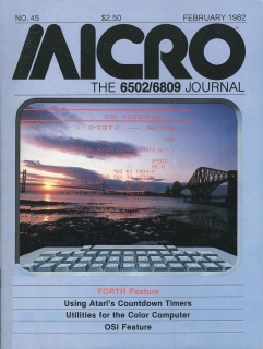 Rivista Micro