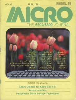 Rivista Micro