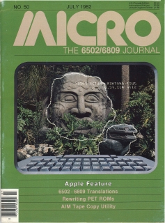 Rivista Micro