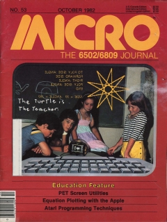 Rivista Micro