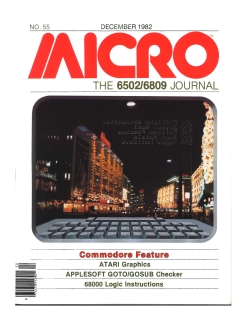 Rivista Micro