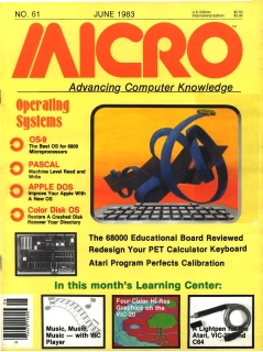 Rivista Micro