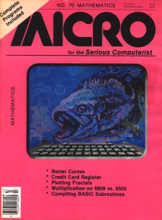 Rivista Micro