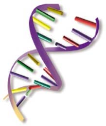 DNA