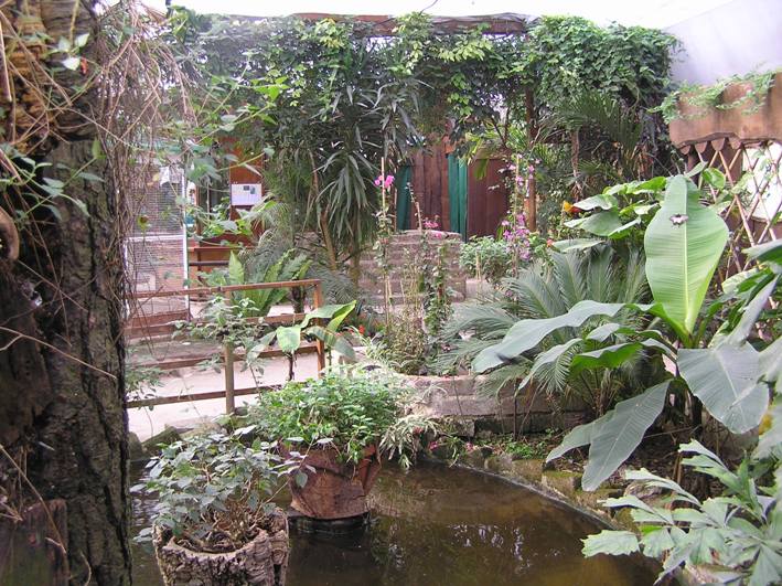 Giardino farfalle