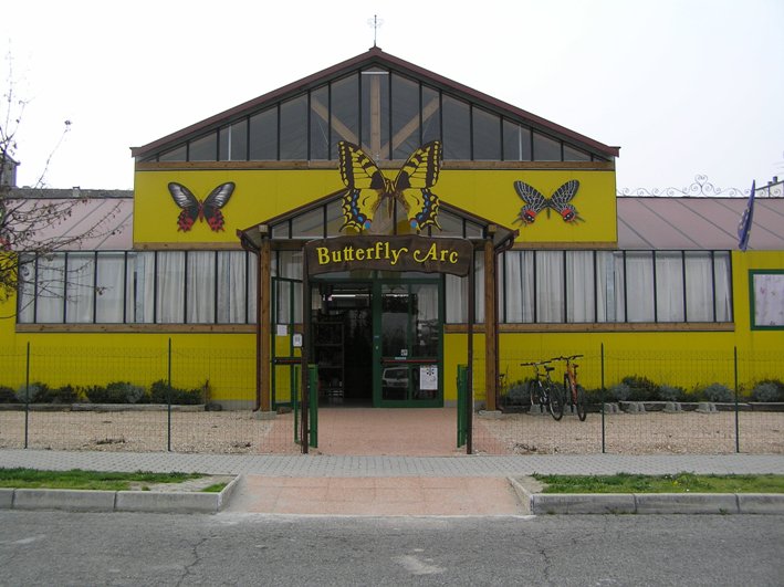 Giardino farfalle