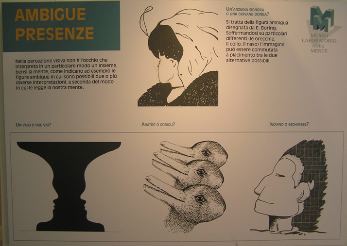 museo mente