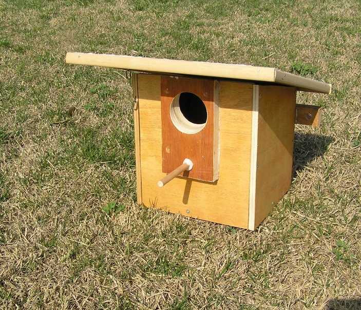 nidi artificiali - artificial nest