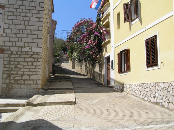 Sali